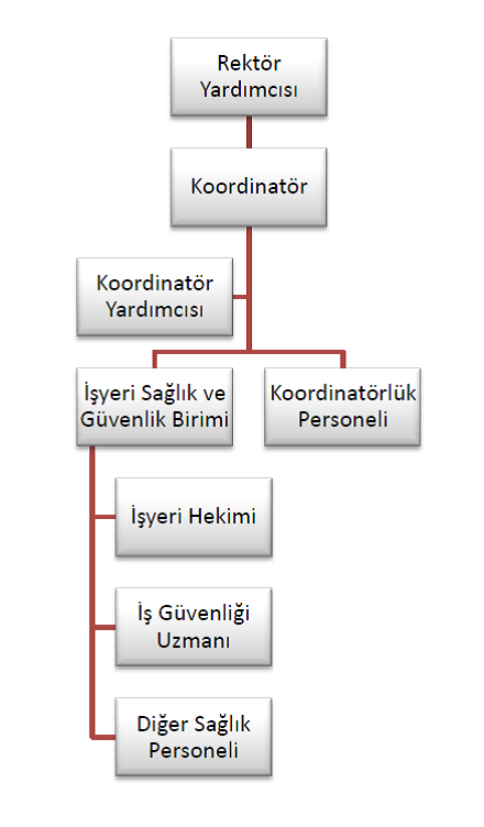 Teşkilat Şeması