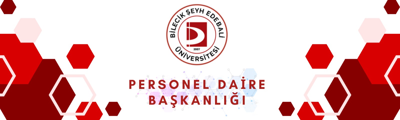 surgu fotoğraf 5574